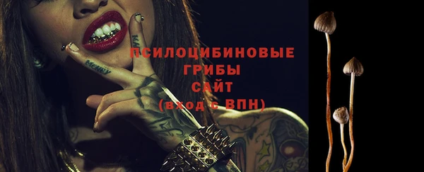 стаф Валуйки