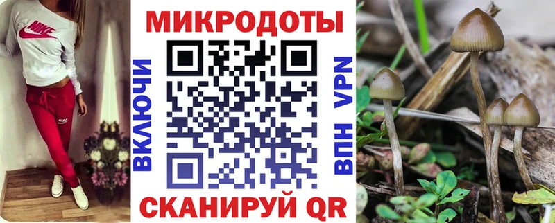 закладка  Сенгилей  blacksprut ссылка  Псилоцибиновые грибы GOLDEN TEACHER 
