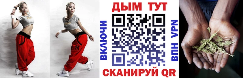 Каннабис OG Kush  Сенгилей 